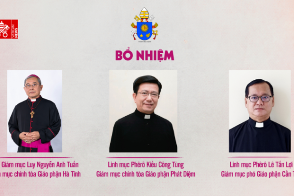 Đức Thánh Cha bổ nhiệm Giám mục Chính Tòa cho hai giáo phận Hà Tĩnh và Phát Diệm và Giám mục Phó Giáo phận Cần Thơ
